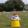 Bubbling